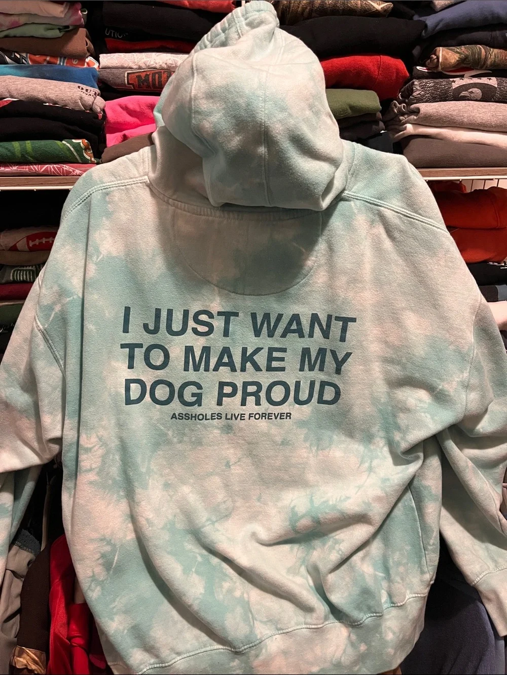 Tie-Dye Mint Dog Lover Hoodie with Statement Text